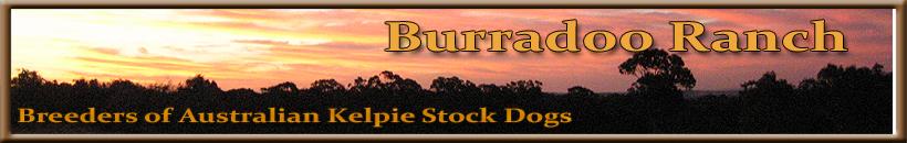 Burradoo Ranch
