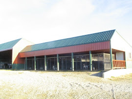 View of the working kennels on the Burradoo Ranch.