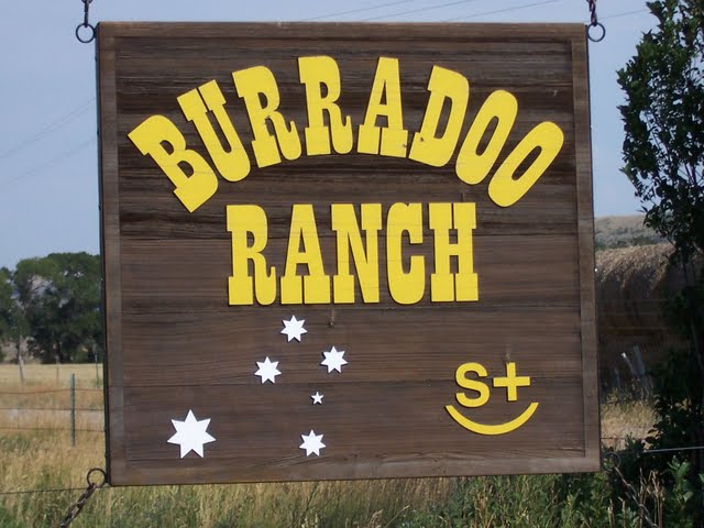 burradoosign