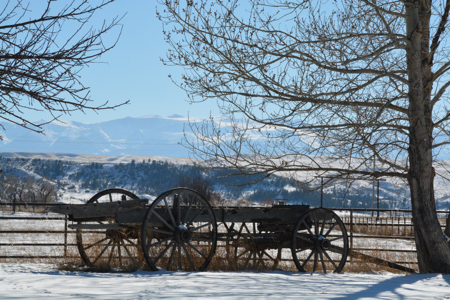 winter wagon